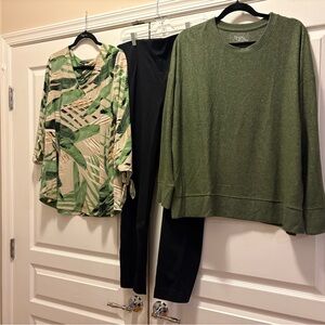 Chico’s 2.5 short black pants, Alfani  blouse, large and T&T sweater large